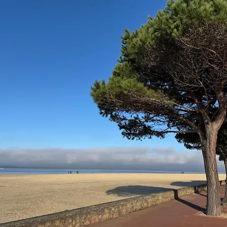 Holiday home Maison Proche Plage Et Centre Ville, Menage Et Draps Compris Arcachon