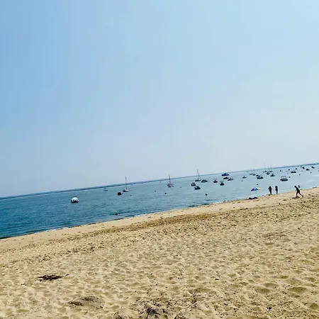 Plage Et Centre Ville A Pied, La Maison Du Pecheur Est Climatisee Avec Menage, Draps Et Serviettes Inclus בית נופש