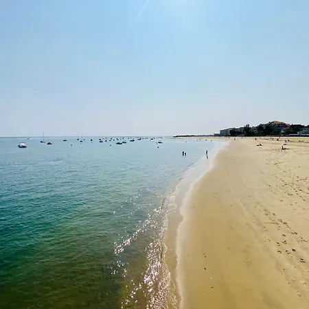 Plage Et Centre Ville A Pied, La Maison Du Pecheur Est Climatisee Avec Menage, Draps Et Serviettes Inclus * ארסשון