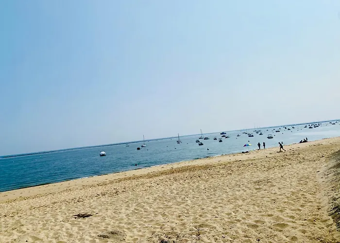 Maison Proche Et Centre Avec Menage, Draps Et Serviettes Inclus Tatil Evi